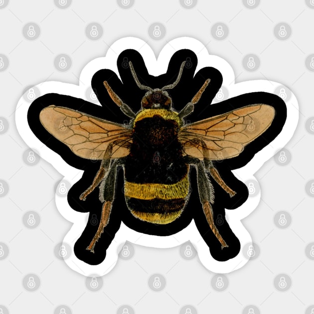 Bumble bee Sticker by MichaelaGrove